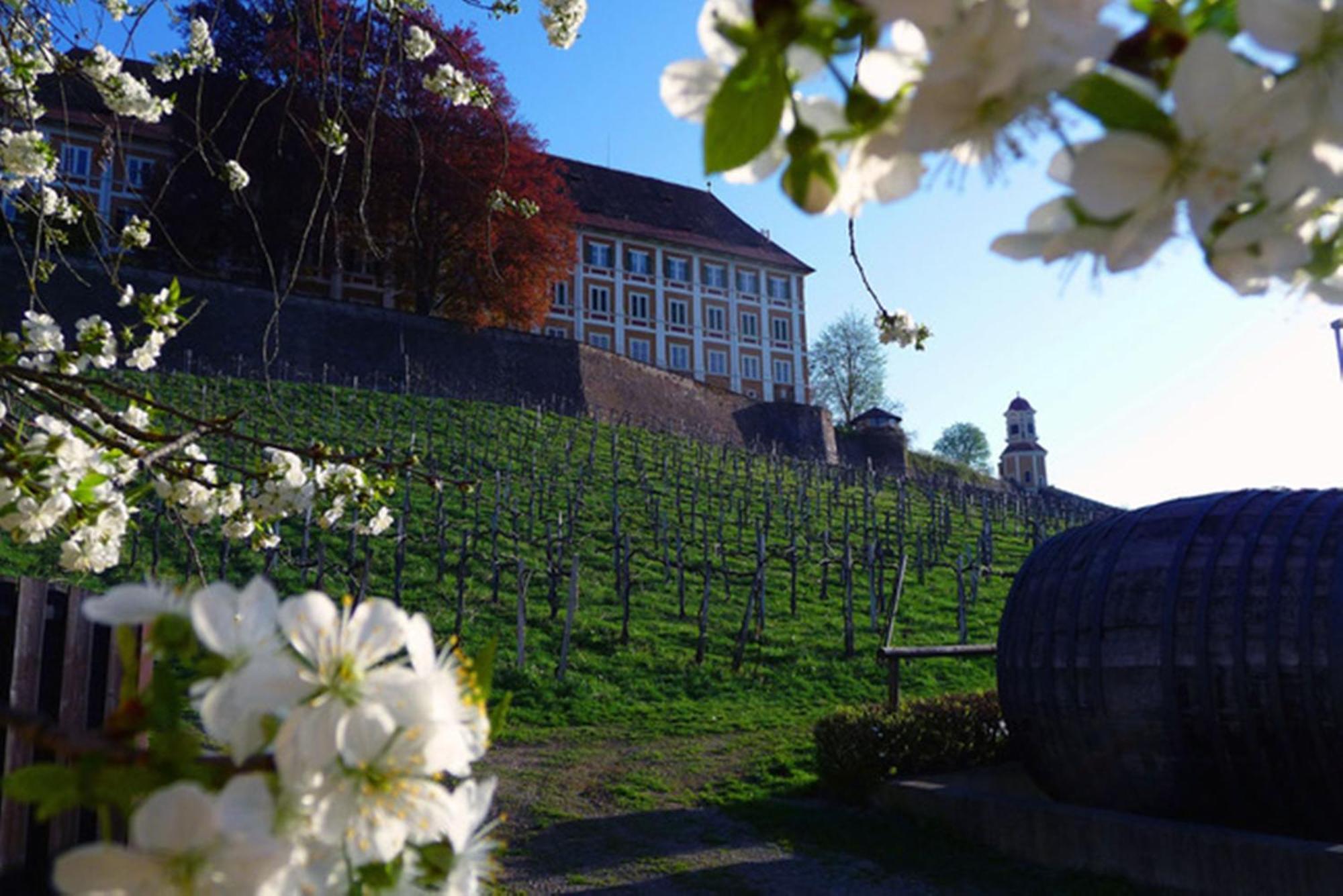 Hotel Stainzerhof Экстерьер фото